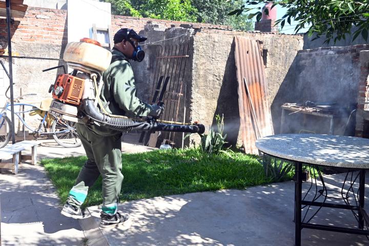 Dengue: confirman cuatro casos en la ciudad de Santa Fe