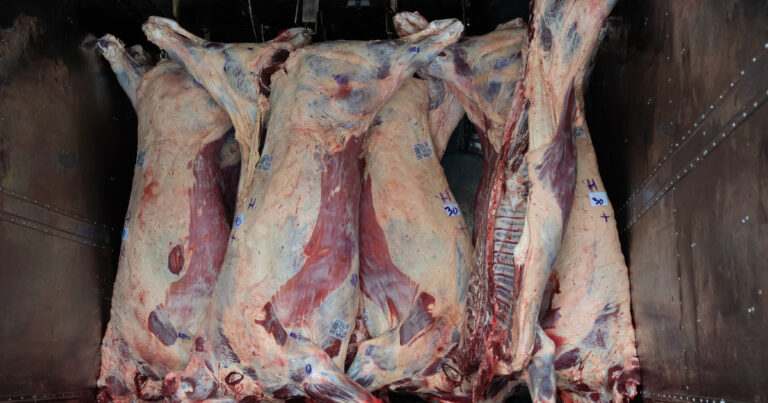 Se oficializó la prórroga de la postergación del ingreso de carne con hueso a la Patagonia