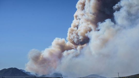 Bosques, glaciares y clima: los tres desafíos ambientales que no pueden esperar