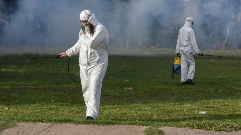 Dengue: Rosario atraviesa el momento del año con más mosquitos transmisores