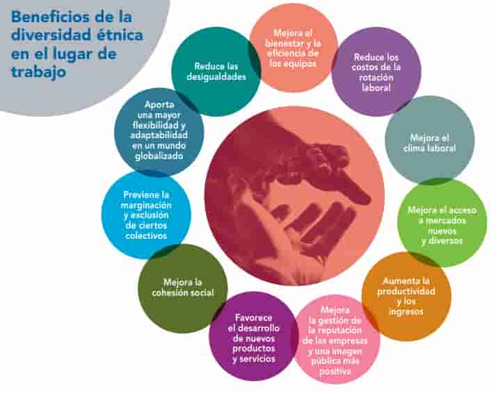 La importancia de la gestión de la diversidad cultural en el entorno laboral.