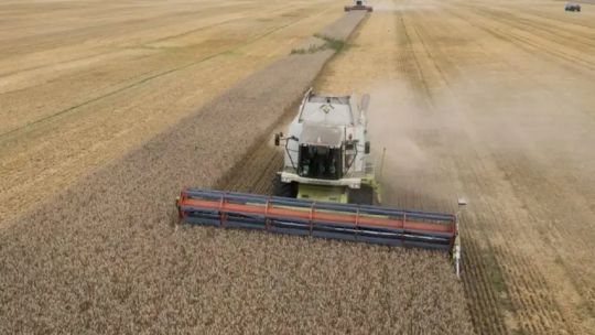 «Una máquina agrícola nacional cuesta el doble que la usada que ahora se puede importar»