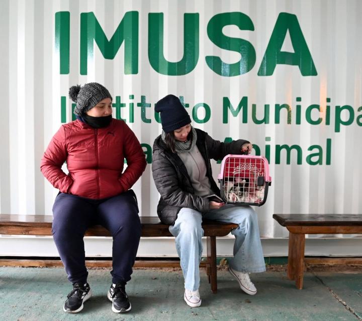 IMUSA del Jardín Botánico: se duplicaron las atenciones de las mascotas