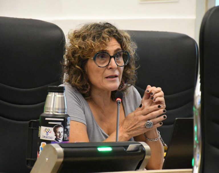 Proponen proyecto de ordenanza para declarar la emergencia en Discapacidad hasta 2027