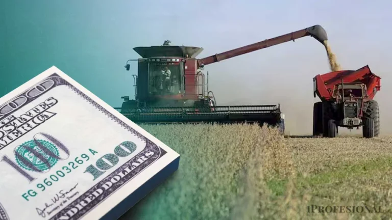 El campo enfrenta a Milei por la suba de las retenciones?