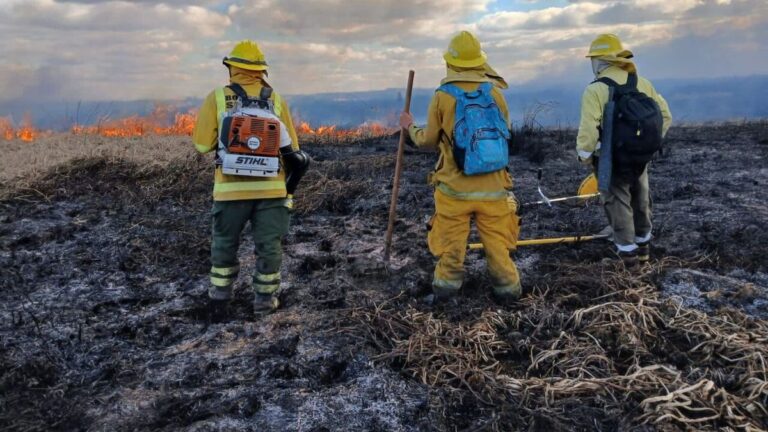 Incendios en las islas: Santa Fe, Buenos Aires y Entre Ríos acuerdan protocolos conjuntos