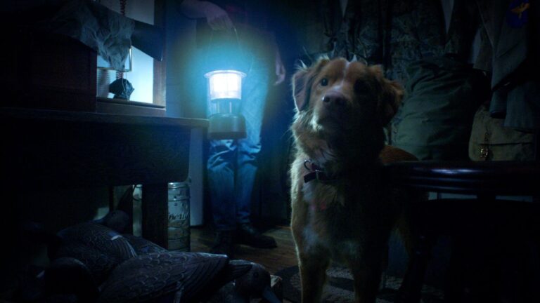«Good Boy», la sorprendente película de terror contada desde la perspectiva de un perro presentó su primer tráiler
