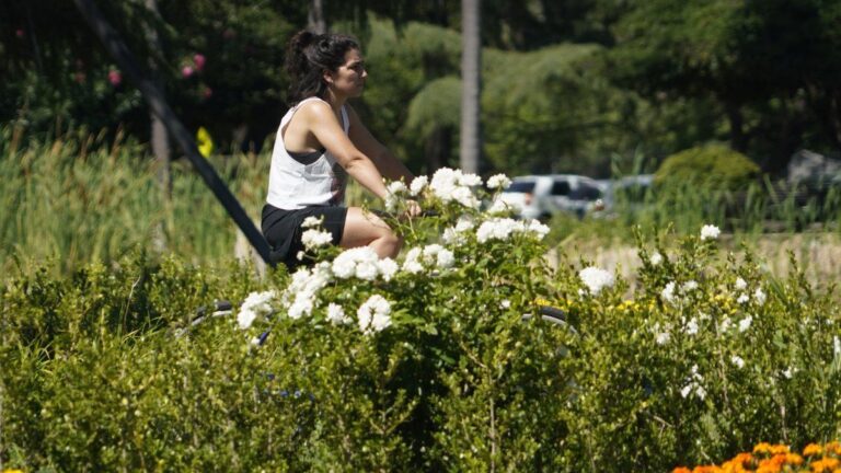 El tiempo en Rosario: ahora sí, sin lluvia ni viento y con las marcas en aumento