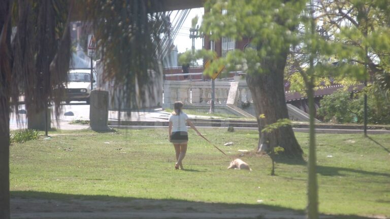 Las altas temperatura se quedarán en la ciudad por algunos días