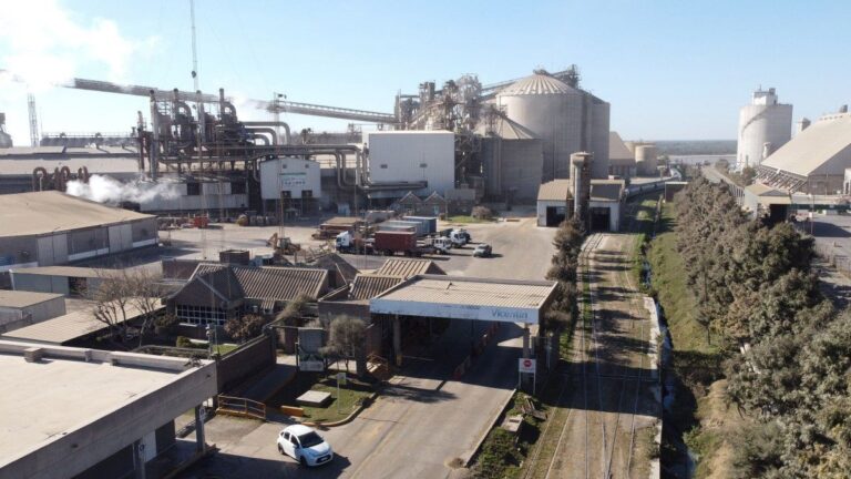 Grassi: «Vamos a volver a poner en marcha todos los activos de Vicentin»