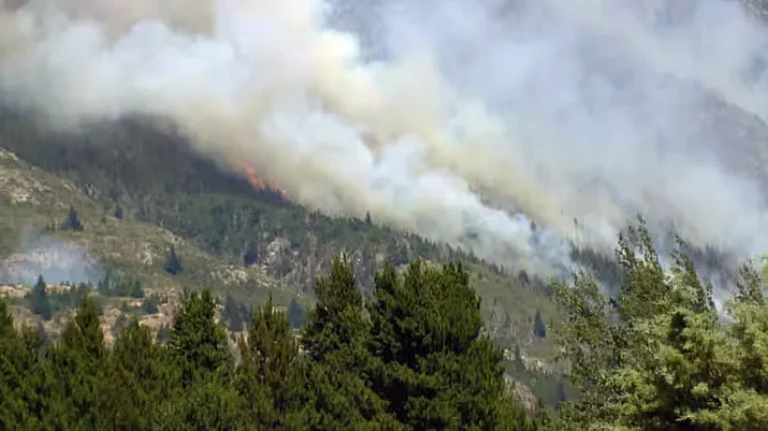 Después de las lluvias, se reactivó el fuego en Epuyén y en Chubut ya se quemaron más de 12 mil hectáreas