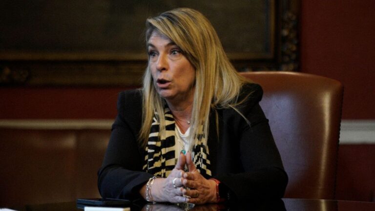 Schmuck: «Cobrar por estacionar no es un trabajo, es una extorsión y se tiene que terminar»